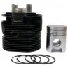 TZ4k14 Zylinder - Kolben - Kolbenringe - Motor TZ08002 Ersatzteile » Agrapoint